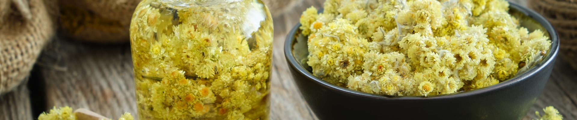 Bandeau ingrédient immortelle des dunes