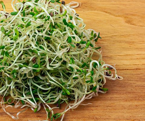 jeunes-pousses-de-luzerne